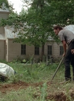 twd0503-3077.jpg