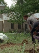 twd0503-3079.jpg