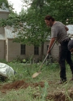 twd0503-3080.jpg