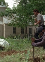 twd0503-3081.jpg