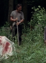 twd0503-3109.jpg