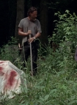 twd0503-3110.jpg