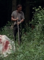 twd0503-3113.jpg