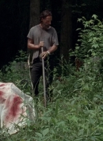 twd0503-3114.jpg