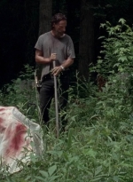 twd0503-3115.jpg