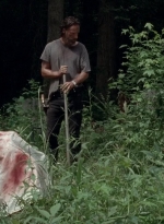 twd0503-3116.jpg