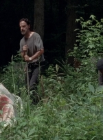 twd0503-3123.jpg