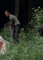 twd0503-3124.jpg