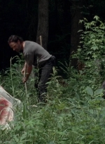 twd0503-3125.jpg