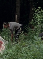 twd0503-3126.jpg