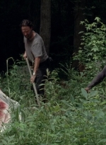 twd0503-3127.jpg