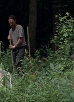 twd0503-3130.jpg