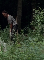 twd0503-3131.jpg