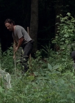 twd0503-3132.jpg