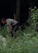 twd0503-3133.jpg