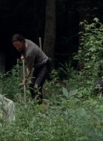 twd0503-3134.jpg