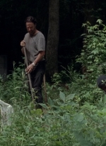 twd0503-3136.jpg