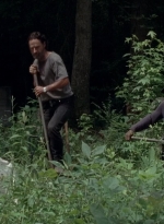 twd0503-3138.jpg