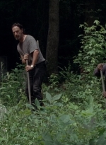 twd0503-3140.jpg