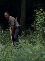 twd0503-3141.jpg