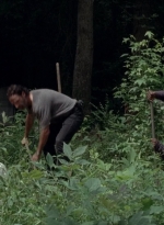 twd0503-3142.jpg