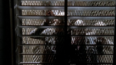 twd0504-1572.jpg