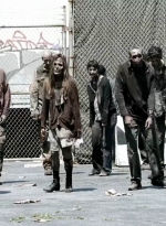 twd0504-2822.jpg