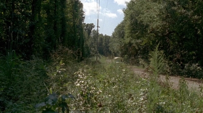 twd0505-0003.jpg