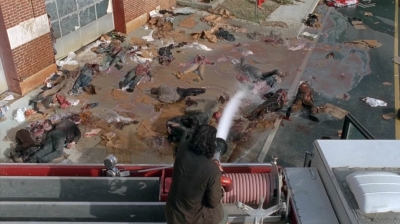 twd0505-2129.jpg