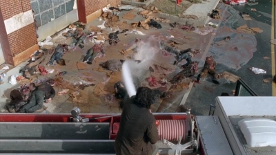 twd0505-2131.jpg