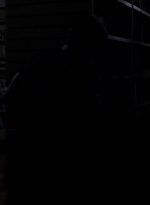 twd0505-0911.jpg