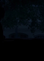 twd0505-1185.jpg
