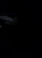 twd0505-1225.jpg