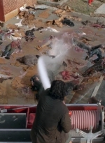 twd0505-2131.jpg