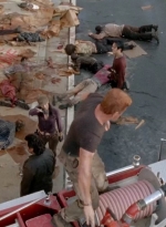 twd0505-2184.jpg