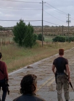 twd0505-2537.jpg