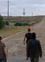 twd0505-2544.jpg