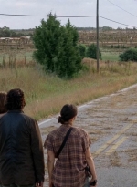 twd0505-2620.jpg