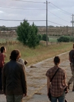 twd0505-2687.jpg