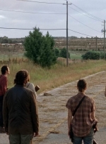 twd0505-2689.jpg