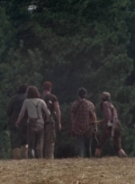 twd0505-2738.jpg