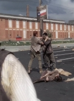 twd0505-3169.jpg