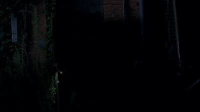 twd0506-0697.jpg