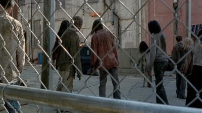 twd0506-3237.jpg