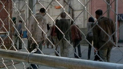 twd0506-3247.jpg