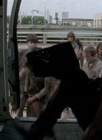 twd0506-2271.jpg