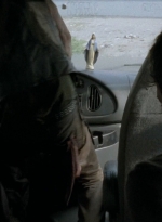 twd0506-2301.jpg