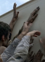 twd0506-2314.jpg