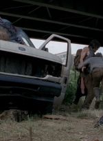 twd0506-2423.jpg