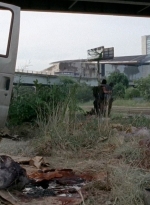 twd0506-2442.jpg